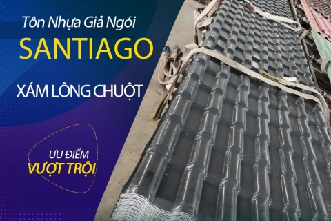 Tôn Giả Ngói Màu Xám Lông Chuột - Mẫu Tôn Giả Ngói Nhựa Mới