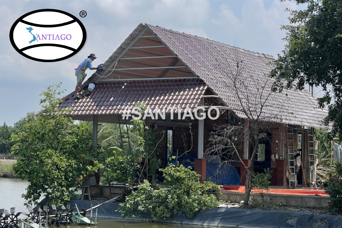 Thợ lợp ngói nhựa nâu đỏ trên nhà vườn bên ao ở Cần Giờ (tháng 6/2022)